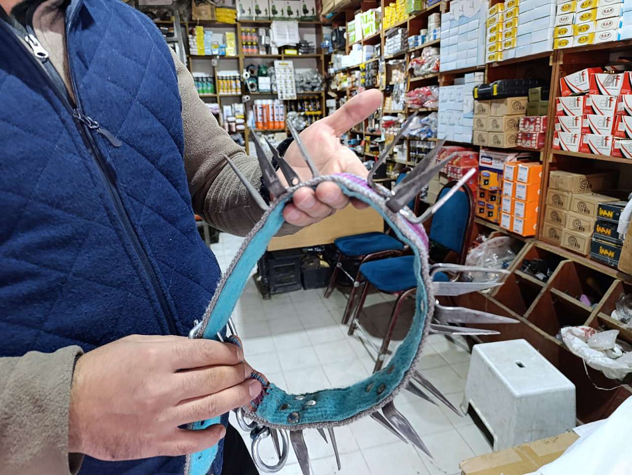 Ağrı'da çoban köpekleri için koruyucu tasmalar talep görüyor