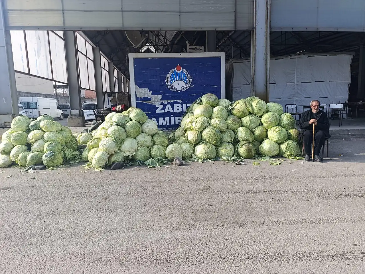 Ağrı'da her sezon olduğu gibi büyük lahanalar ilgi görüyor