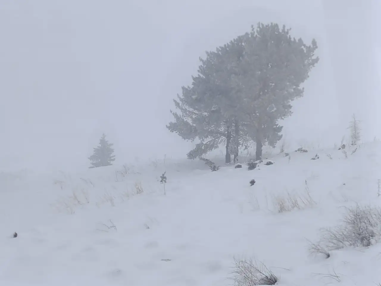 Ağrı'da sabahın ilk ışıklarında sis ve kırağı etkili oldu