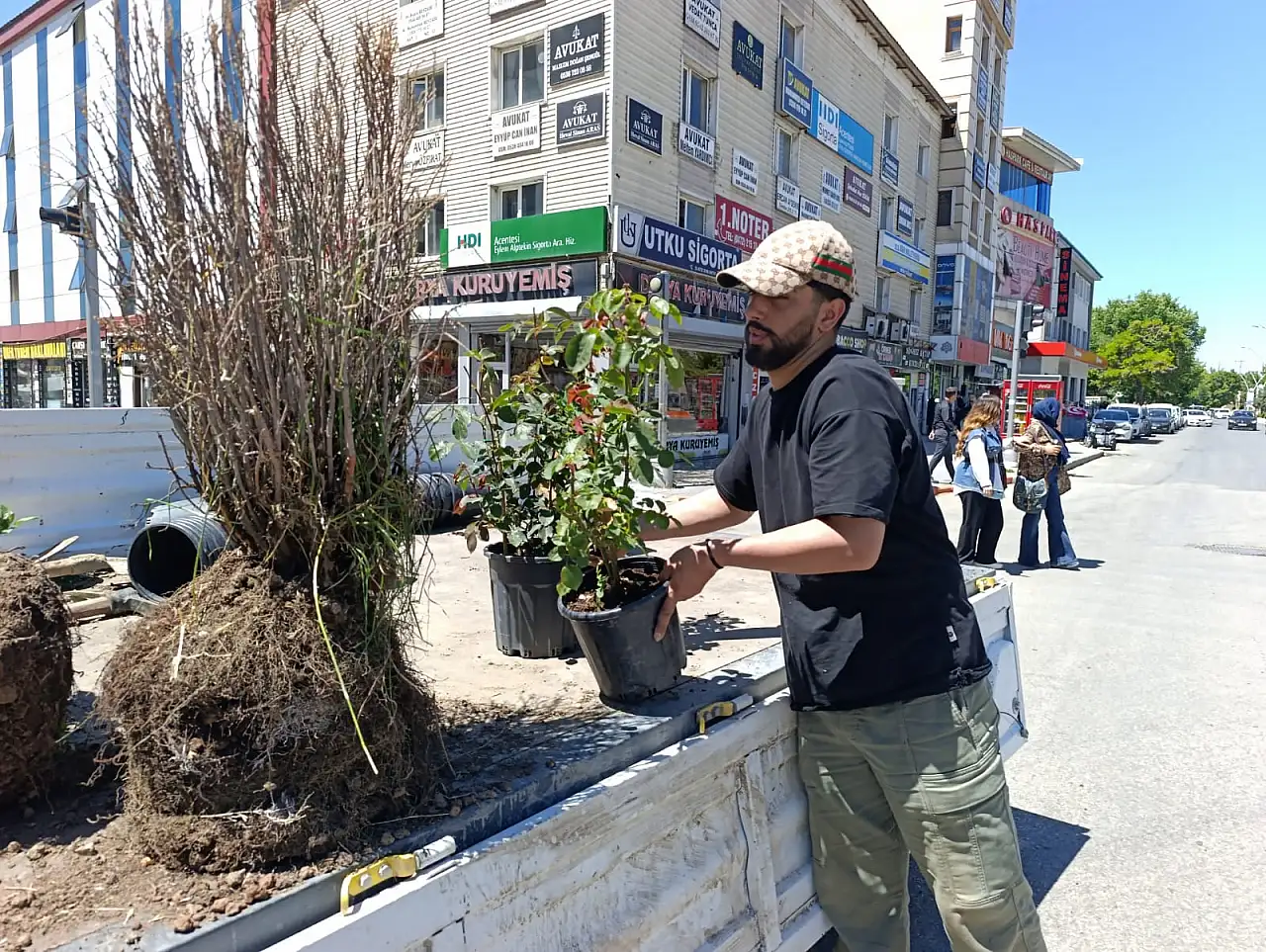 Ağrı'da refüjler rengârenk çiçeklerle buluşuyor