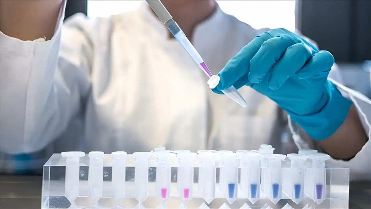 AIDS ile mücadelede yeni umut: DSÖ 1,3 milyon vaka bildirdi