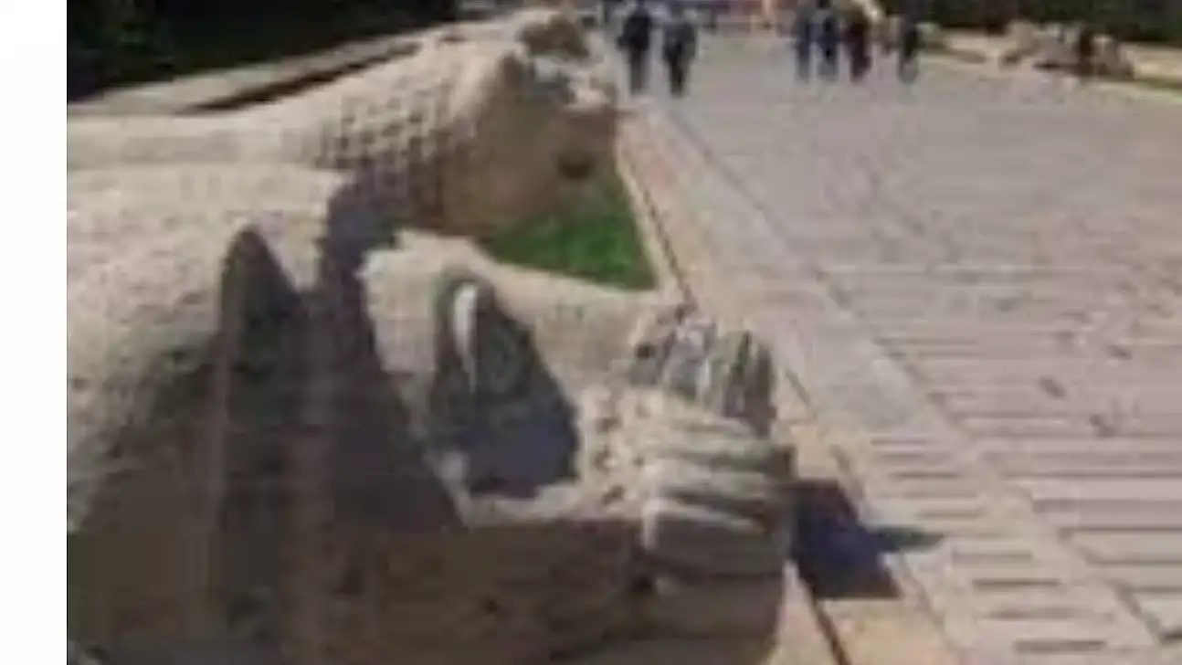 Aslanlı Yolda Neden 24 Aslan Var, Anlamı Nedir?