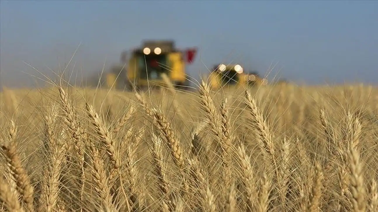 Türkiye, AARIENEA'da ilk kez başkanlık görevine seçildi
