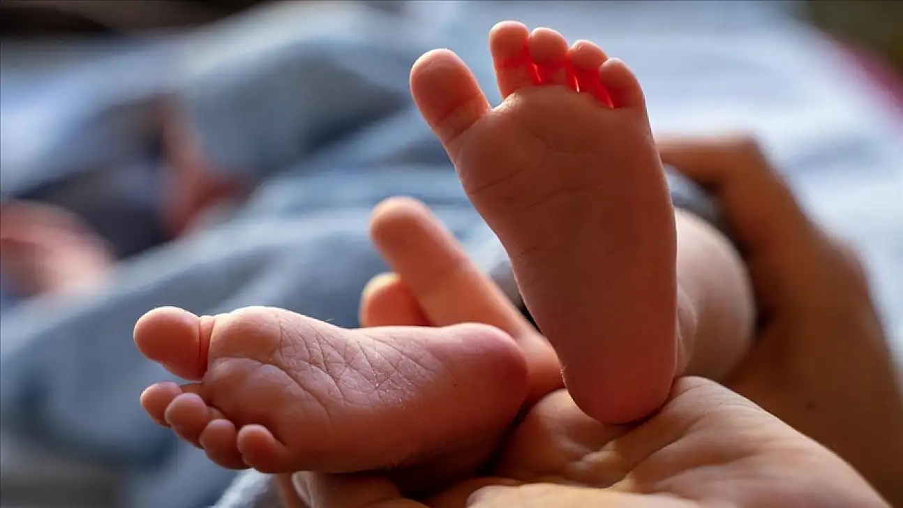 Türkiye'de doğan bebek sayısı belli oldu