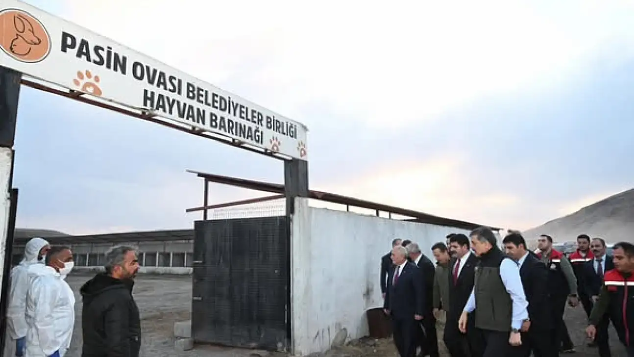 Vali Mustafa Çiftçi, Pasin Ovası Belediyeler Birliği Hayvan Barınağı'nda İncelemelerde Bulundu