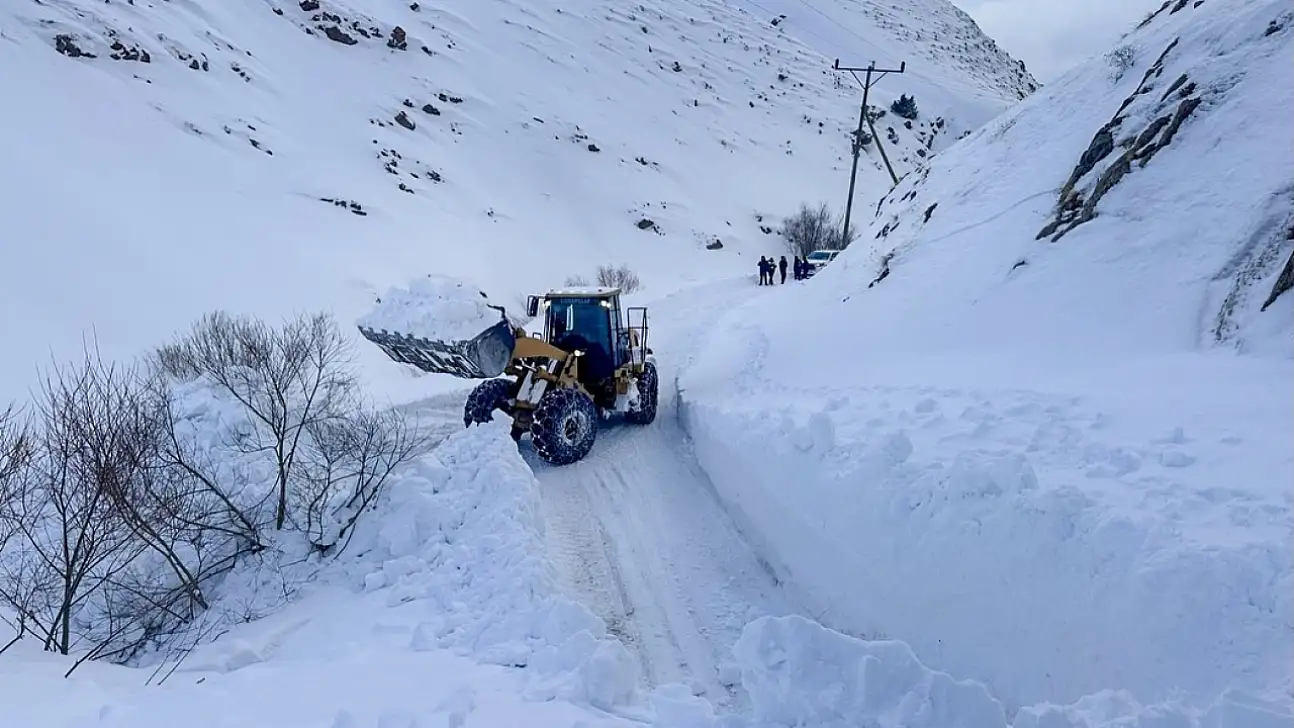 Van'da Zorlu Kış Şartlarına Rağmen Hayat Kurtaran Müdahale