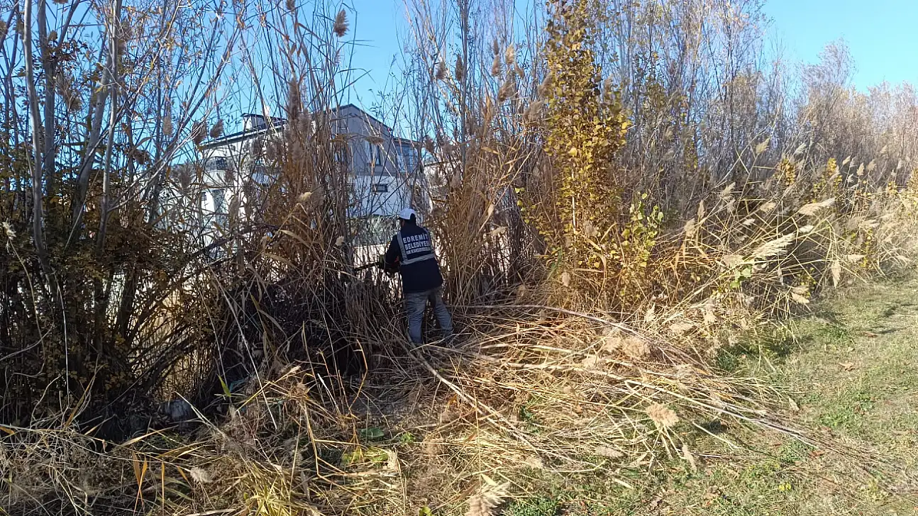 Van Edremit'te Görüşü Engelleyen Ağaçlar Budanıyor