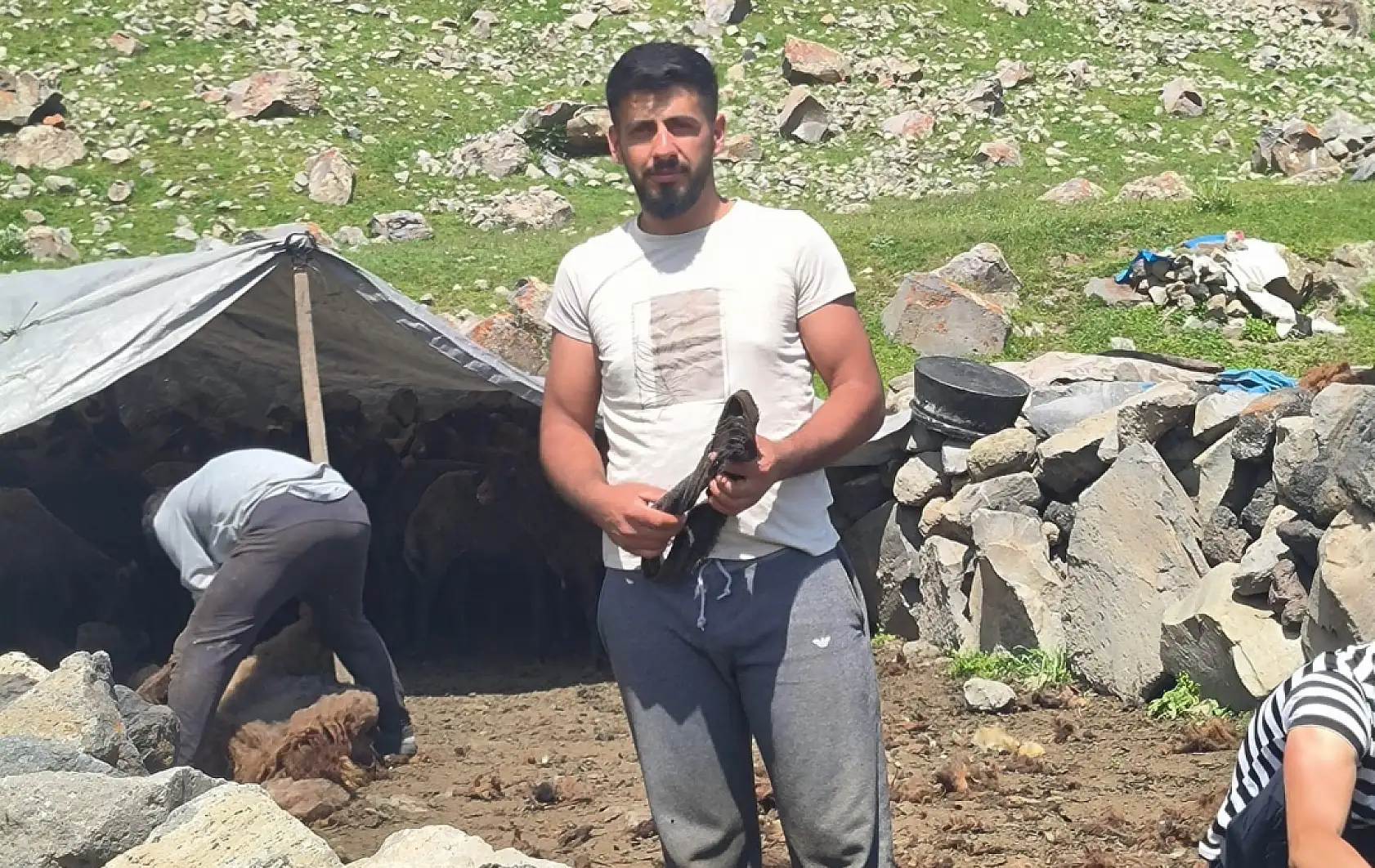 Ağrı Dağı yaylalarında koyun kırkma mesaisi başladı