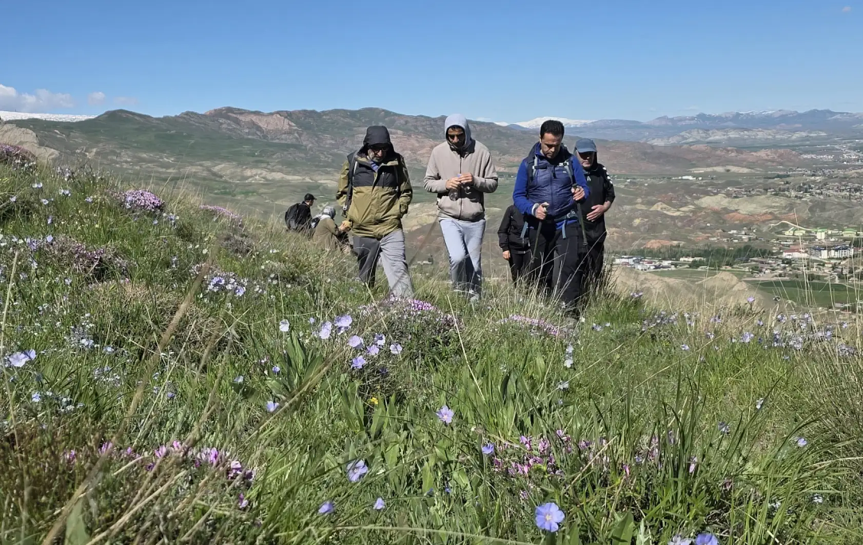 Ağrı Dağı eteklerinde çiçekler açtı, yaylalar renklendi
