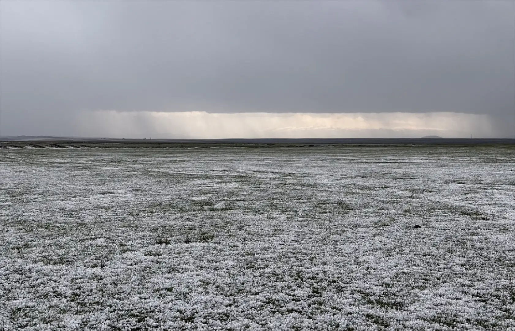 Kars'ta doğa yüzünü sert gösterdi dolu etkili oldu