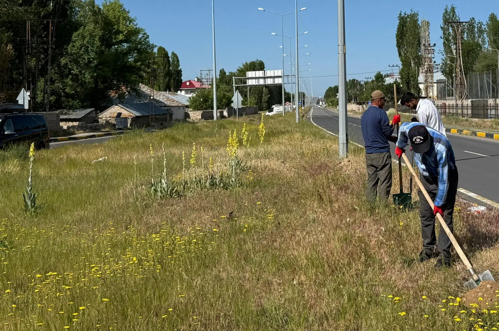 Patnos'ta 15 bin ağaç toprakla buluştu