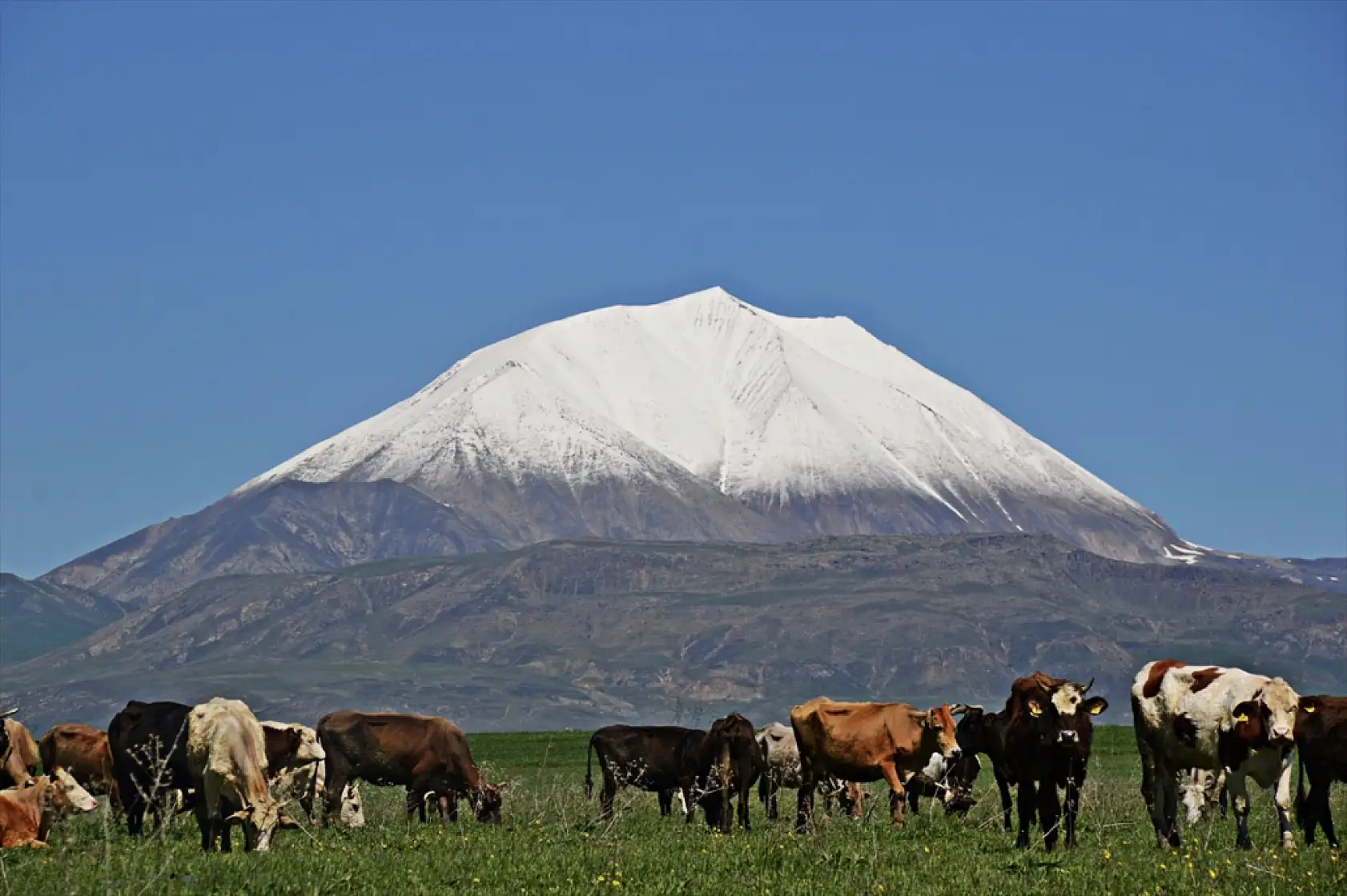 Kösedağ'ın zirvesinde kar sürprizi