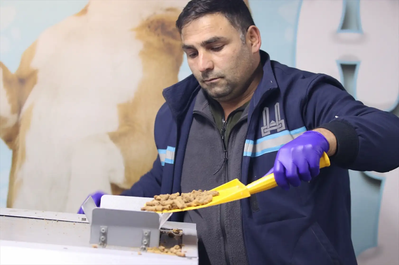 Erzurum'da hayvan dostu tesisle sokak hayvanları aç kalmıyor