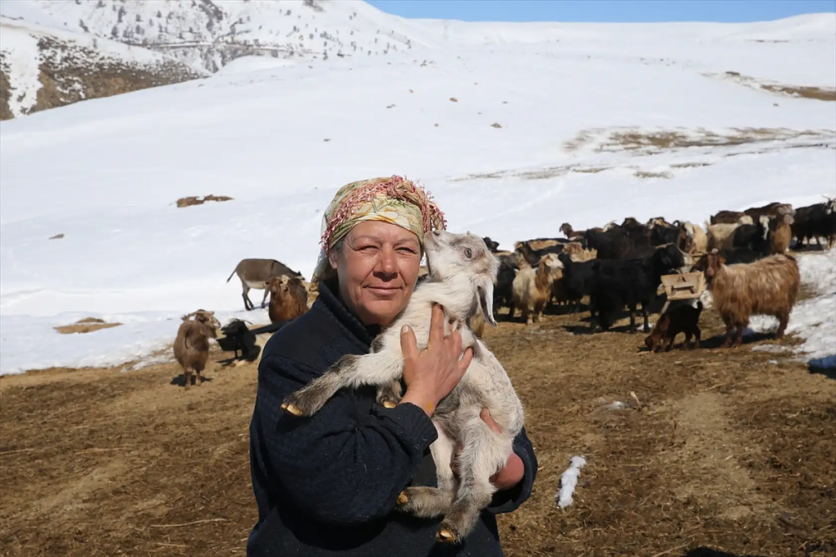 Muş'ta zorlu kışa meydan okuyan kadın kahramanlar