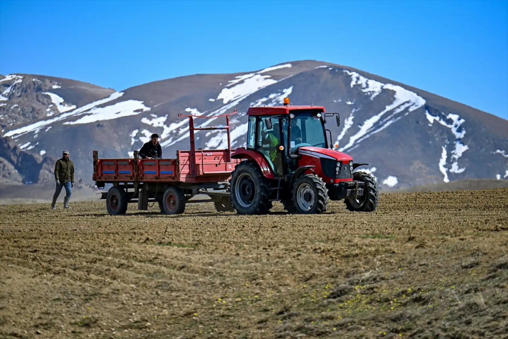 Van'da karlar eridi, koyunlar dağlarla buluştu