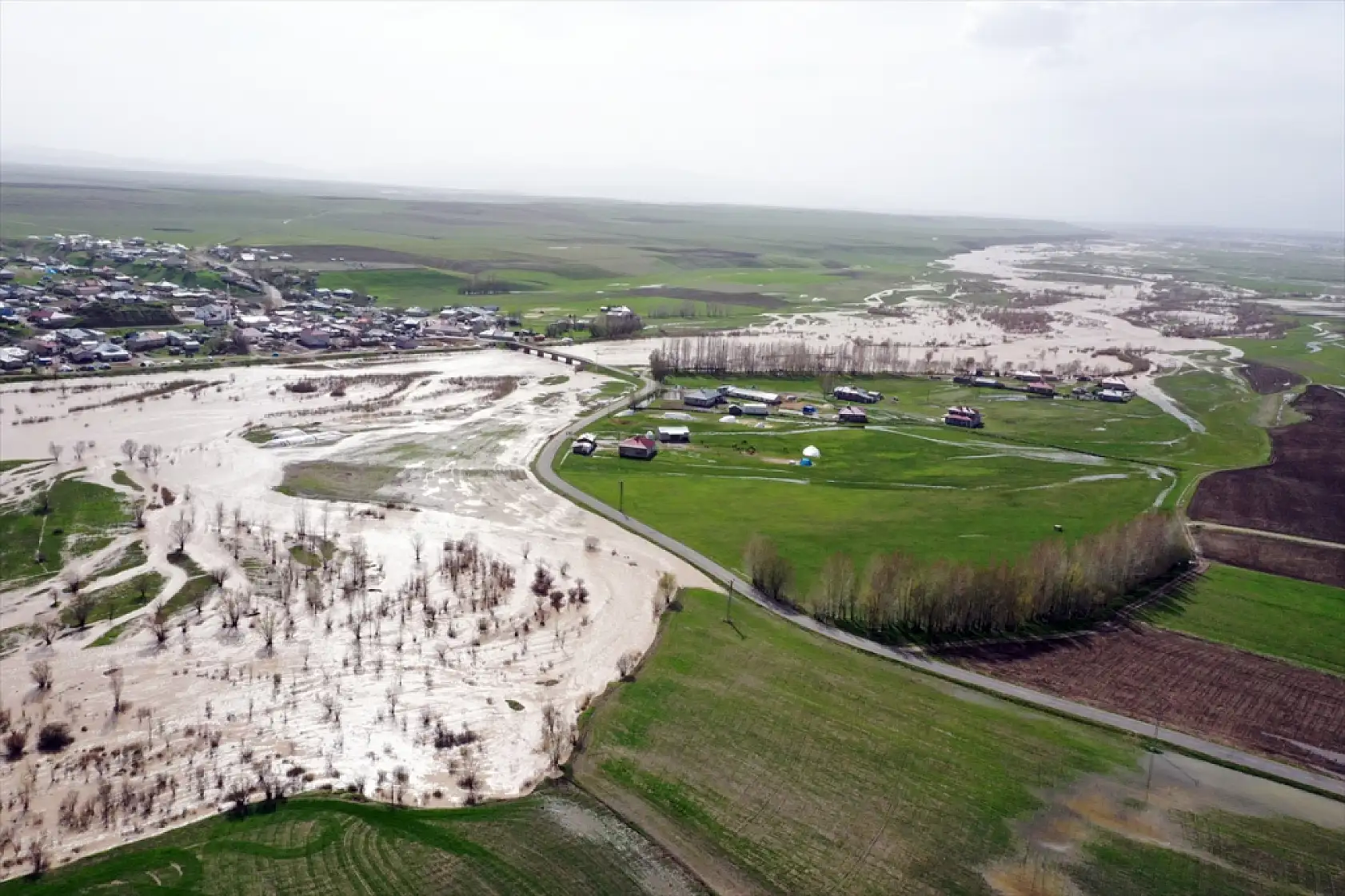 Ağrı'da Murat Nehri taştı tarım alanları suya teslim oldu