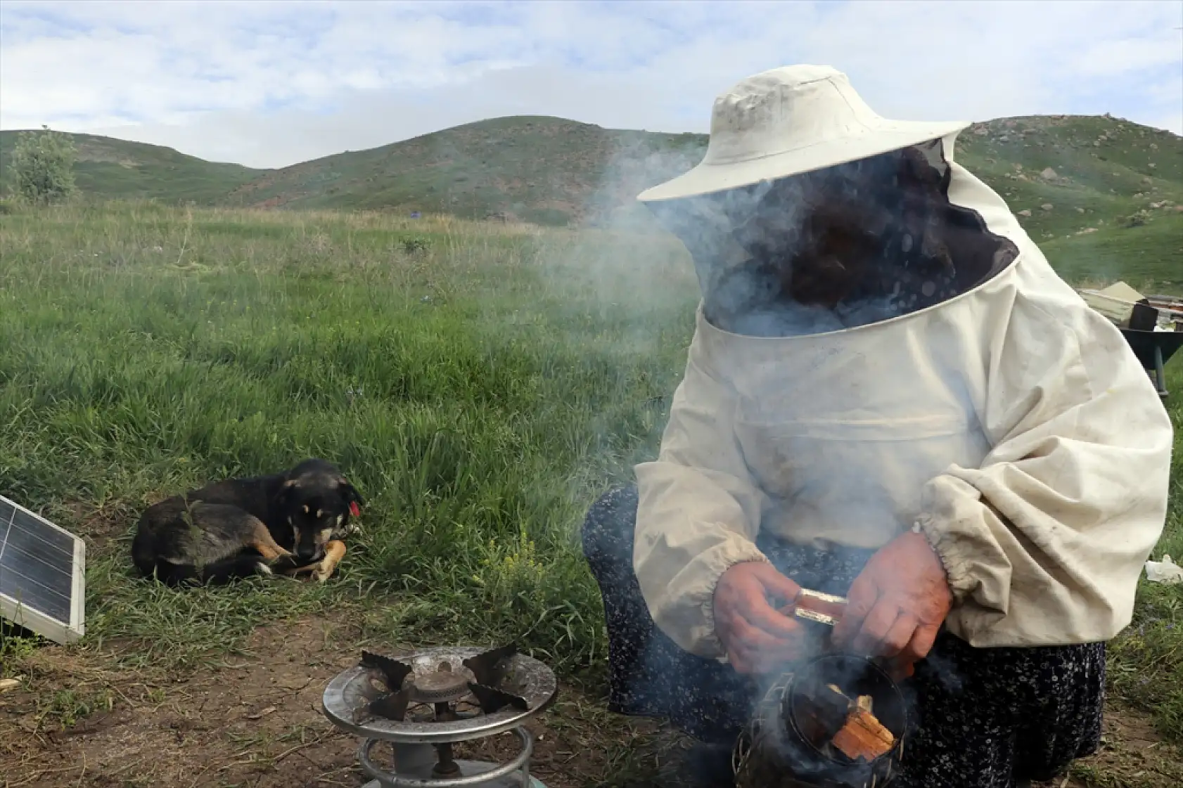 Arıya âşık Ordulu üç kardeş, Ağrı'nın dağlarında bal mesaisinde