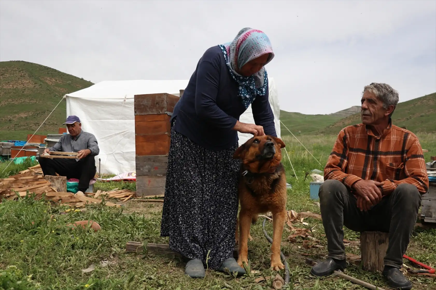 Arıya âşık Ordulu üç kardeş, Ağrı'nın dağlarında bal mesaisinde