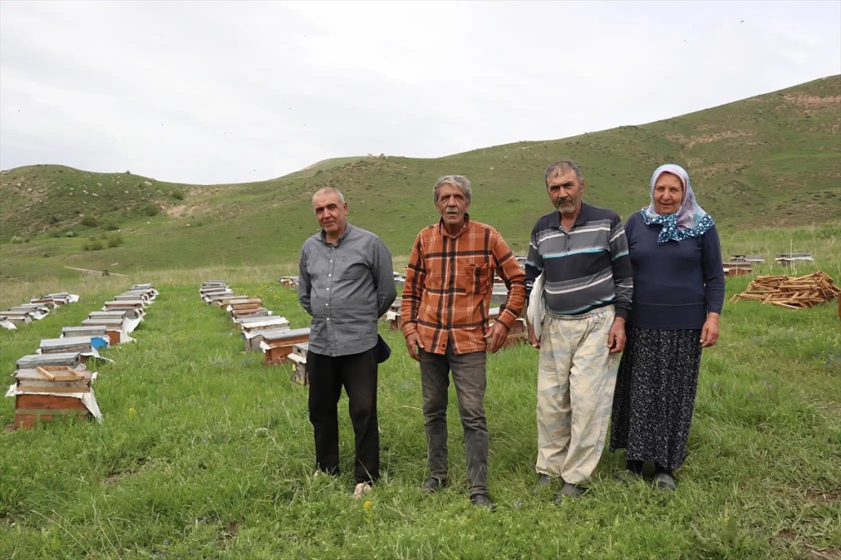 Arıya âşık Ordulu üç kardeş, Ağrı'nın dağlarında bal mesaisinde