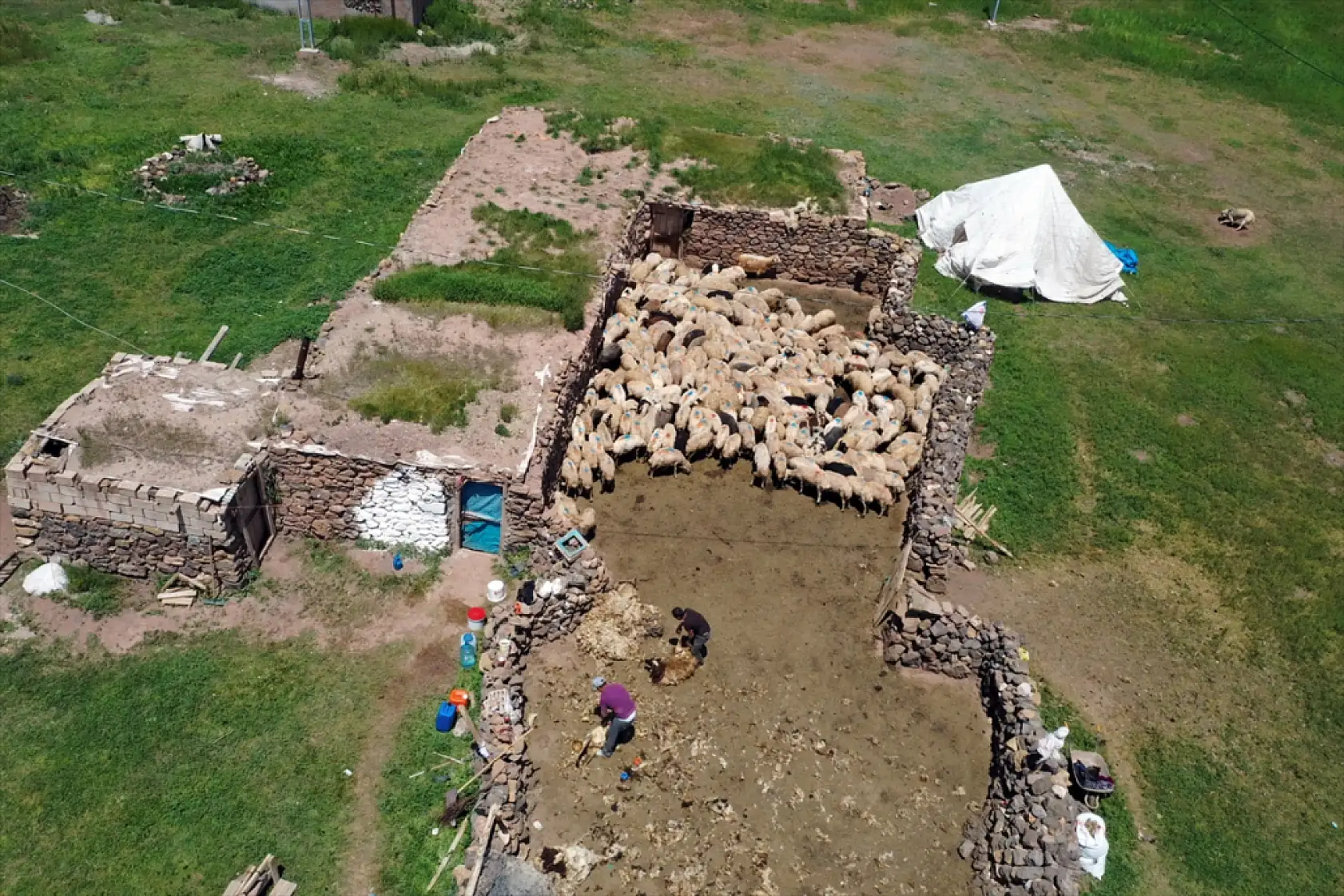 Diyadin'de göçerler yaz yurduna ulaştı