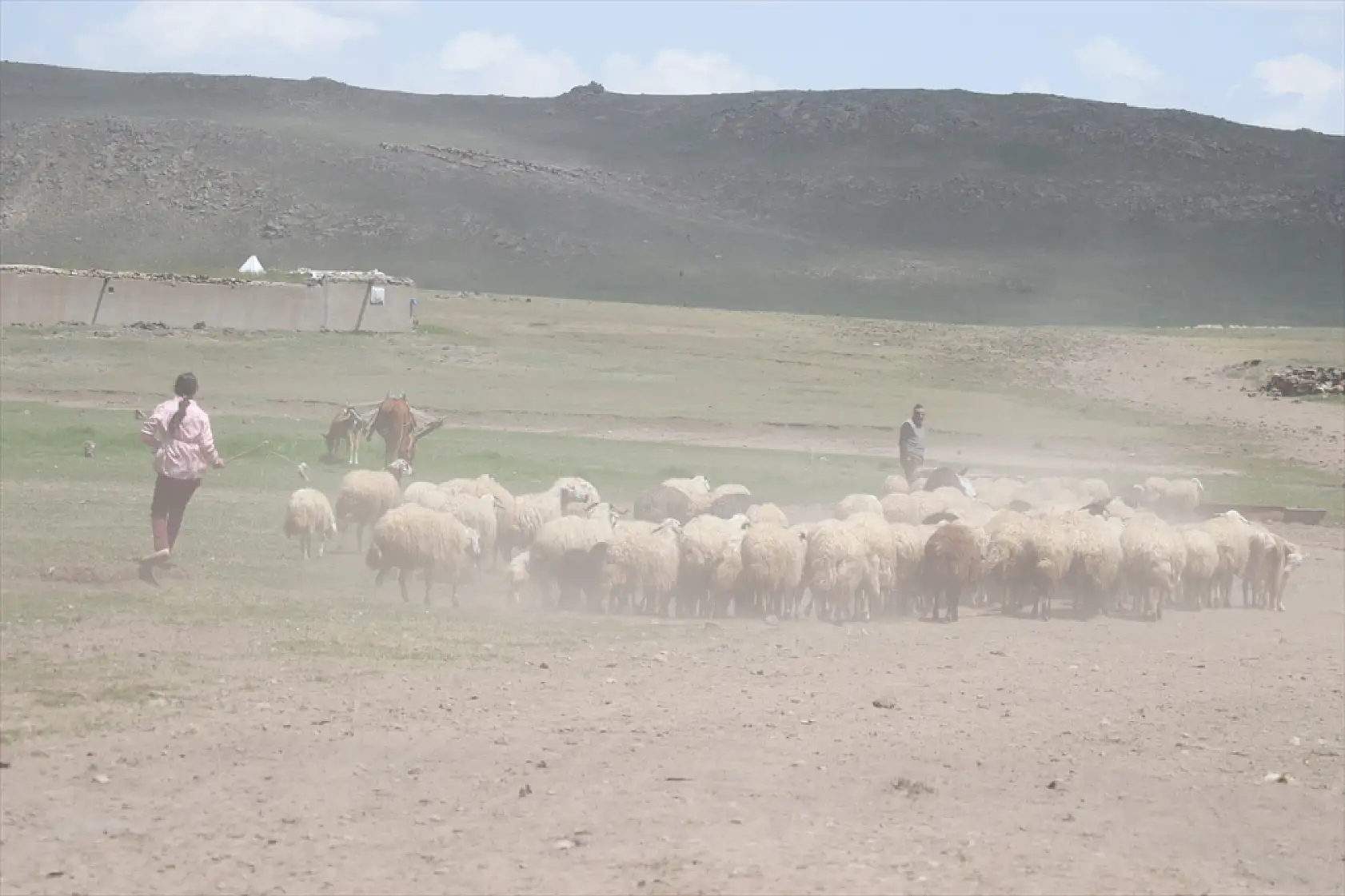 Diyadin'de göçerler yaz yurduna ulaştı