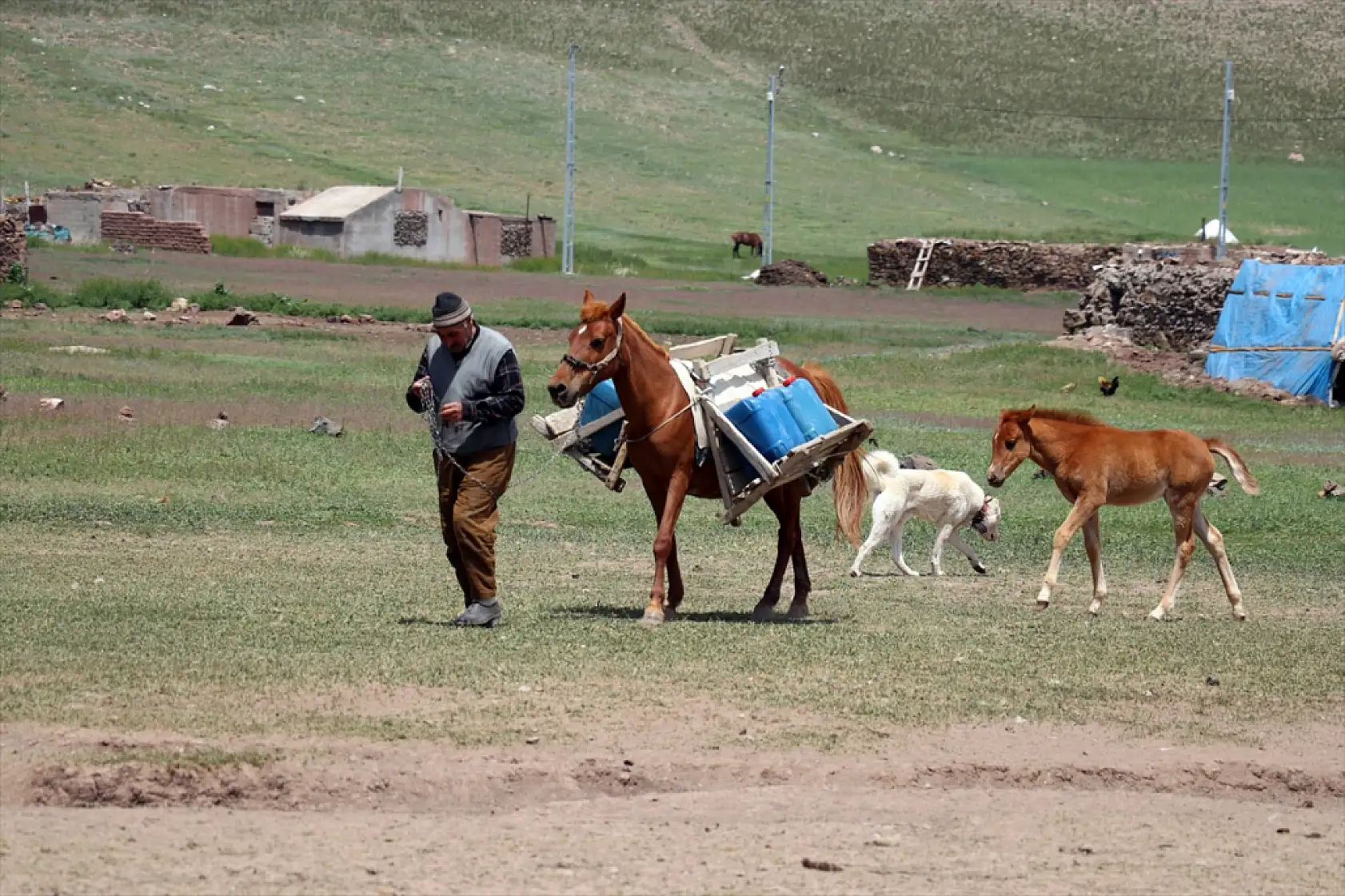 Diyadin'de göçerler yaz yurduna ulaştı