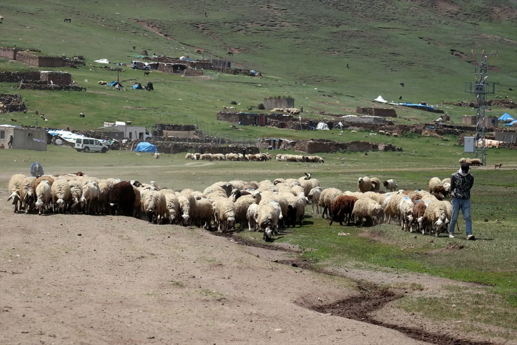 Diyadin'de göçerler yaz yurduna ulaştı