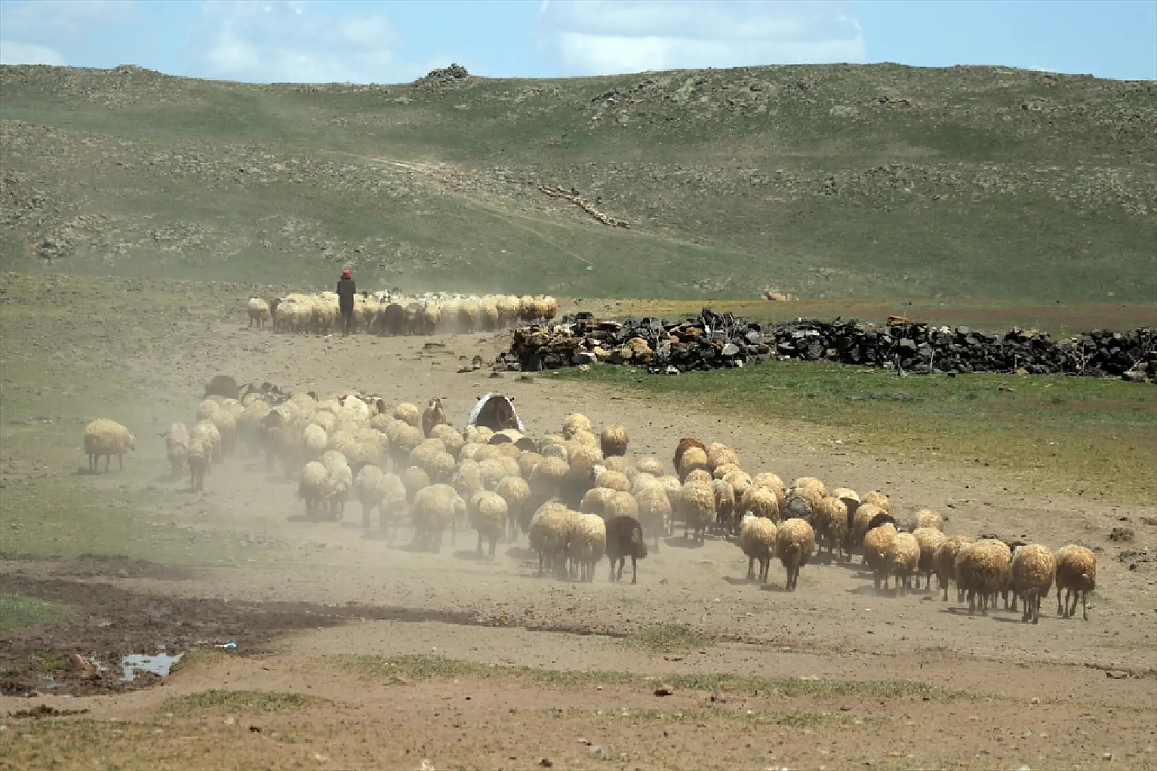Diyadin'de göçerler yaz yurduna ulaştı