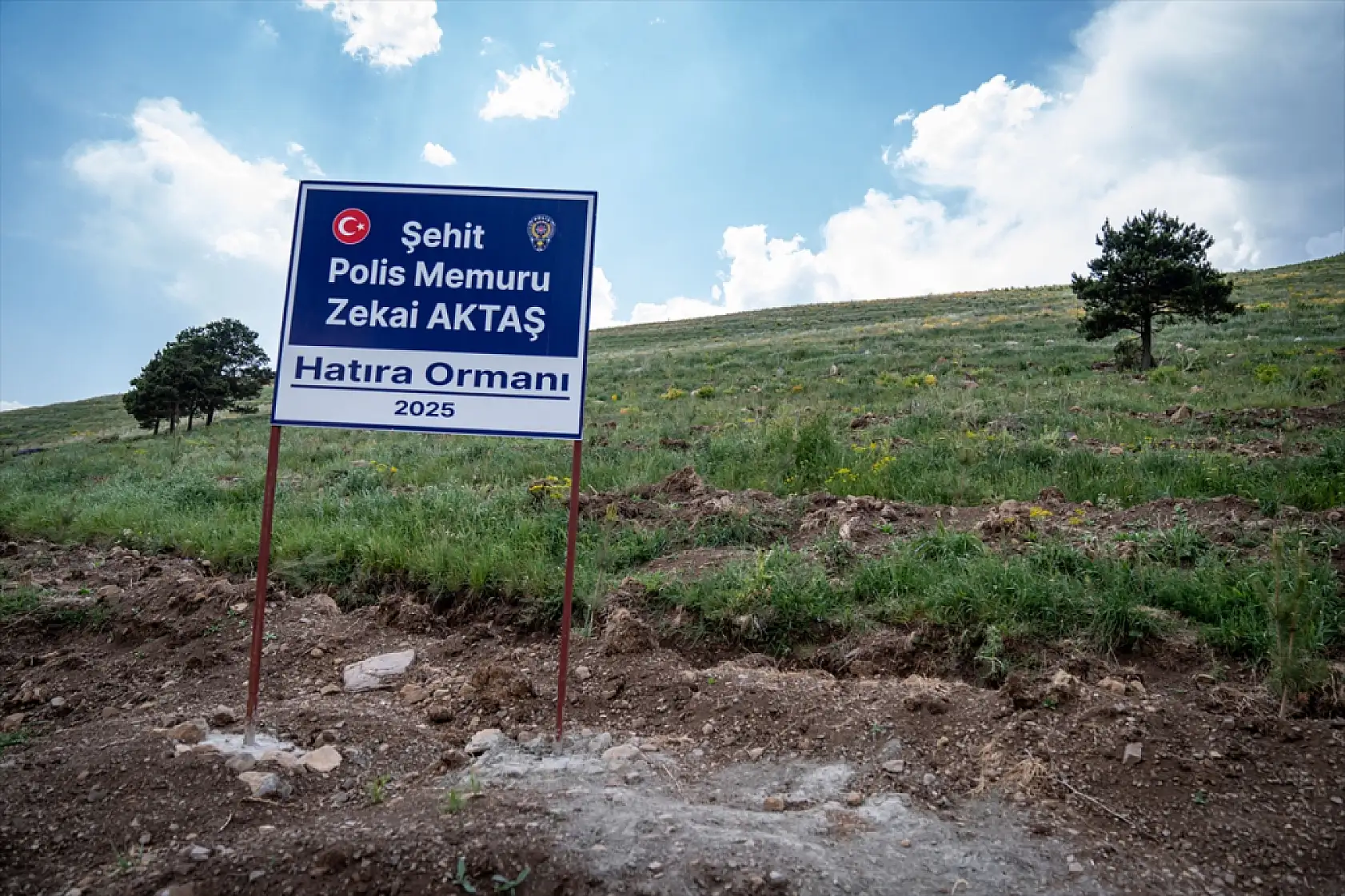 Şehit annesinin son isteği yerine getirildi: 1000 fidan dikildi