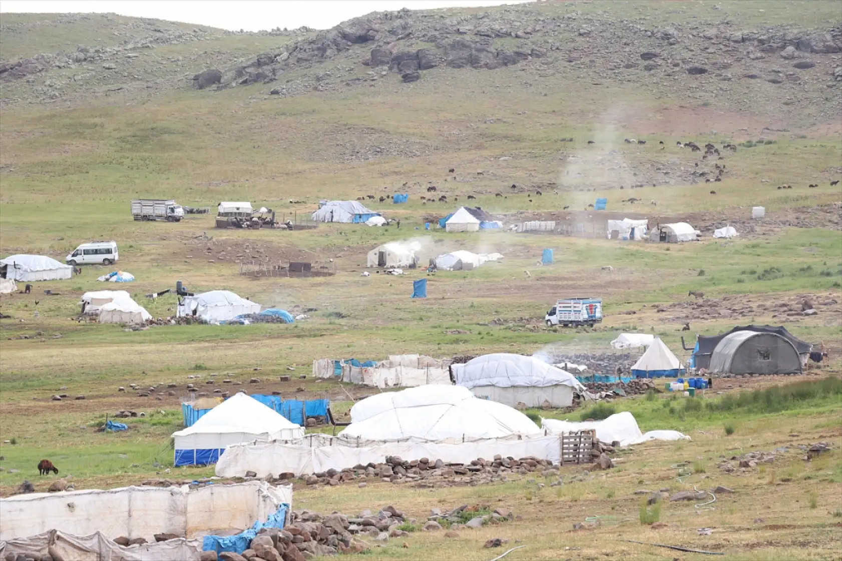 Ağrı yaylalarında üretim zamanı: Göçerler üç ay doğayla baş başa