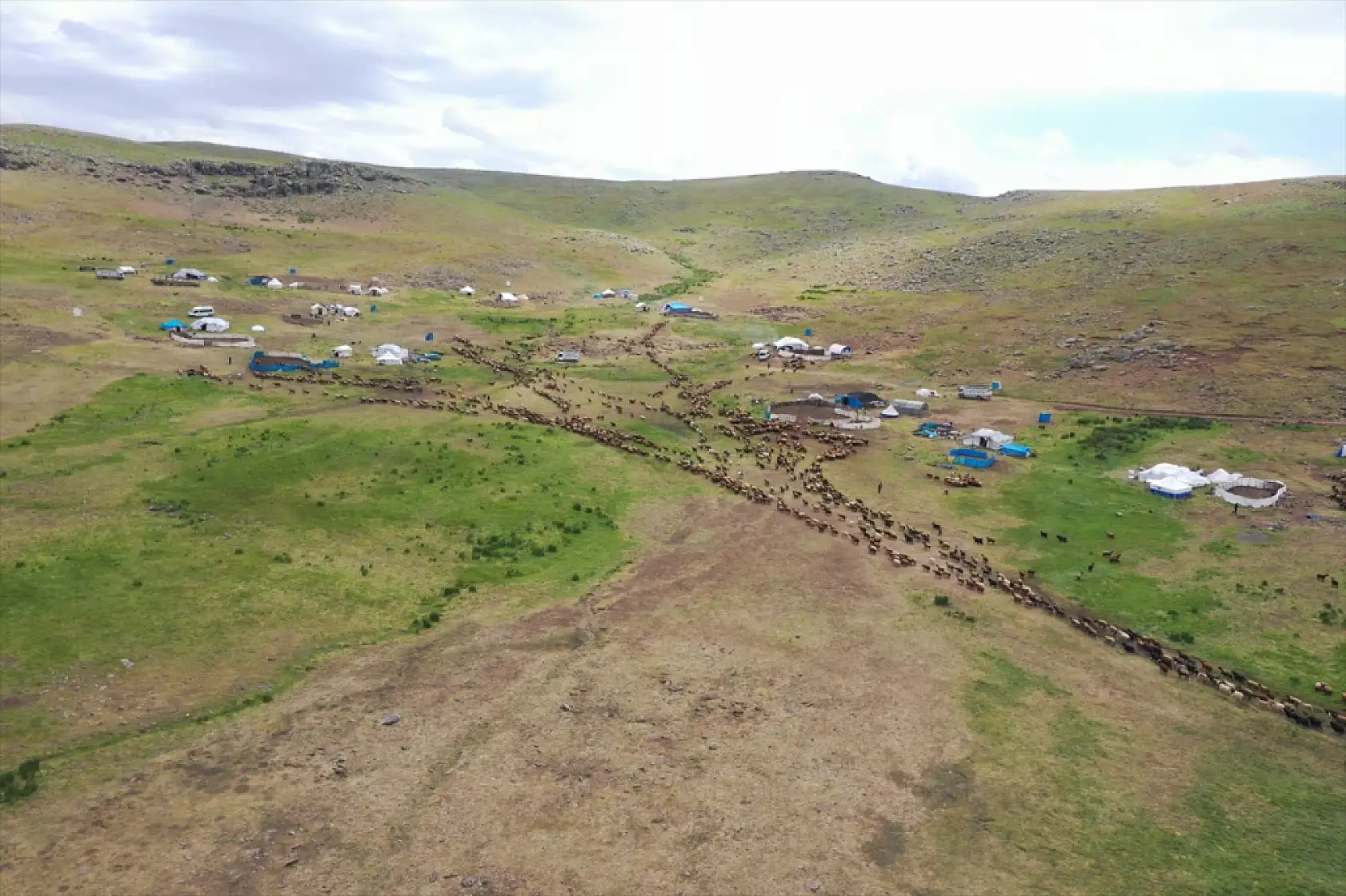 Ağrı yaylalarında üretim zamanı: Göçerler üç ay doğayla baş başa