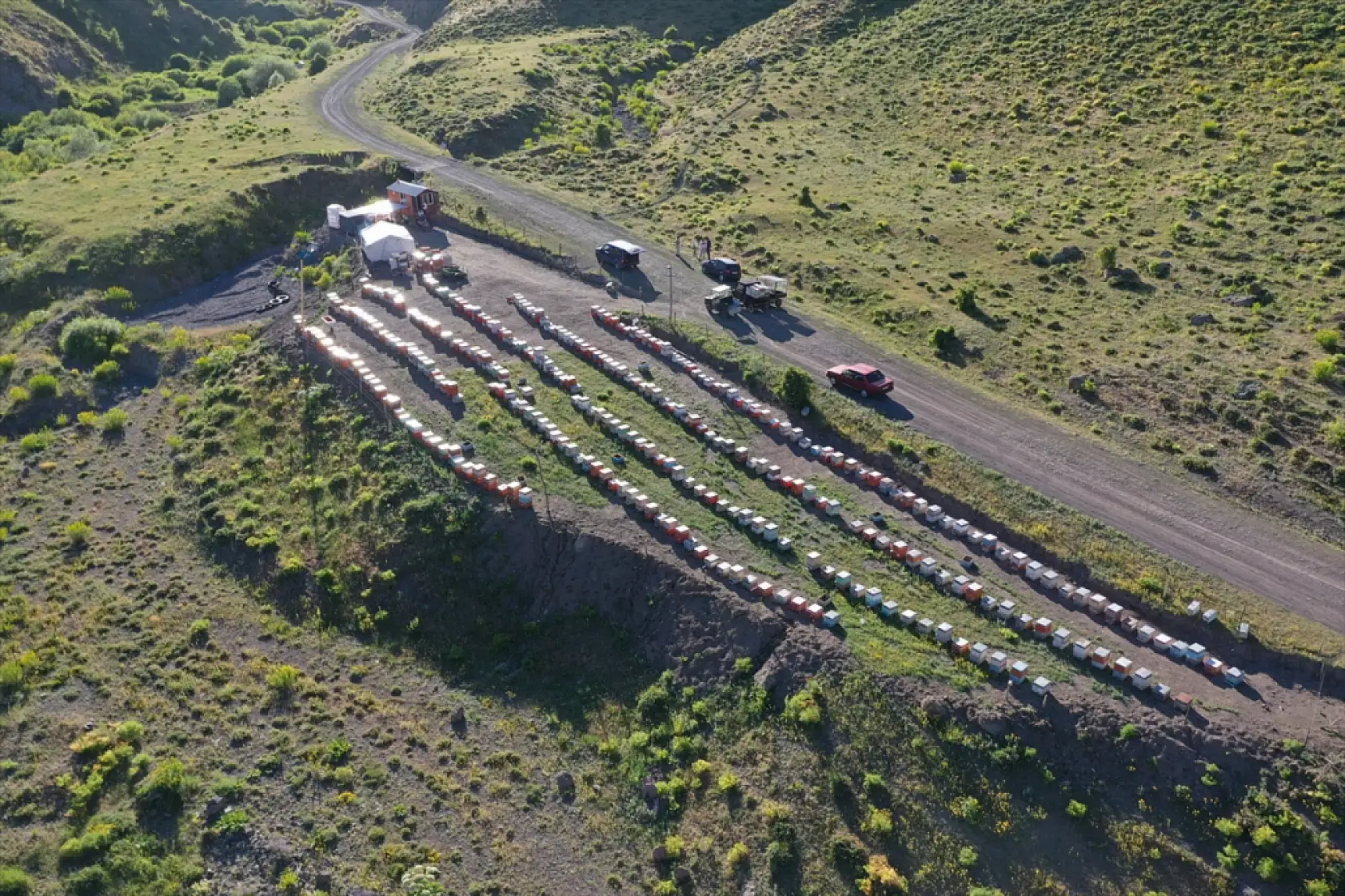Ağrılı arıcı, oğlunun icadı elektrikli araçla dağda bal mesaisinde