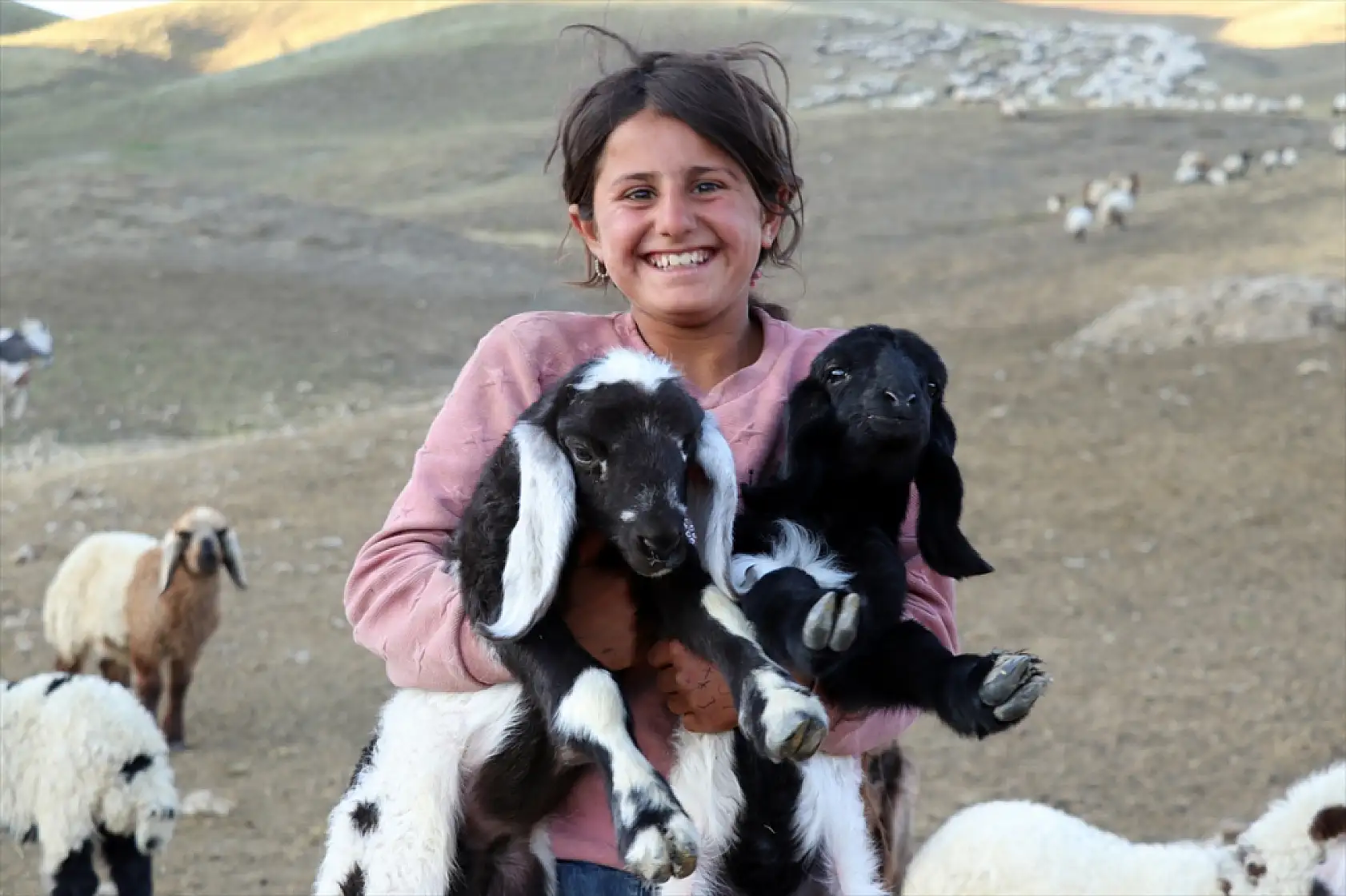 Ağrı yaylalarında gün doğmadan başlayan sağım mesaisi