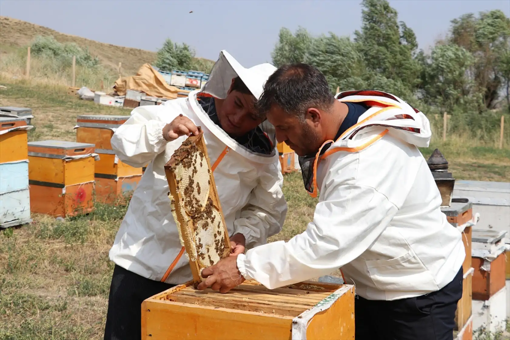 Ağrı'da baba oğulun geven balı mesaisi