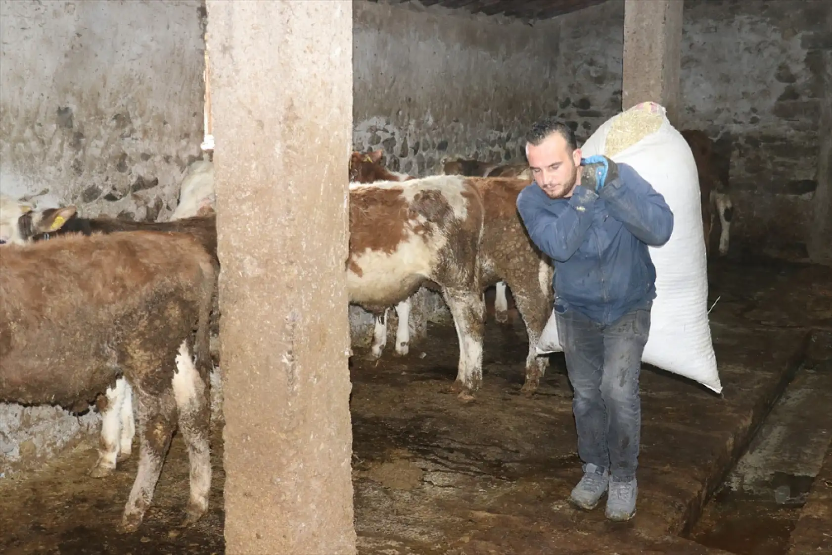 Ağrı'da Uzman Eller Projesi, Dursun'un hayvancılık hayalini gerçeğe dönüştürdü