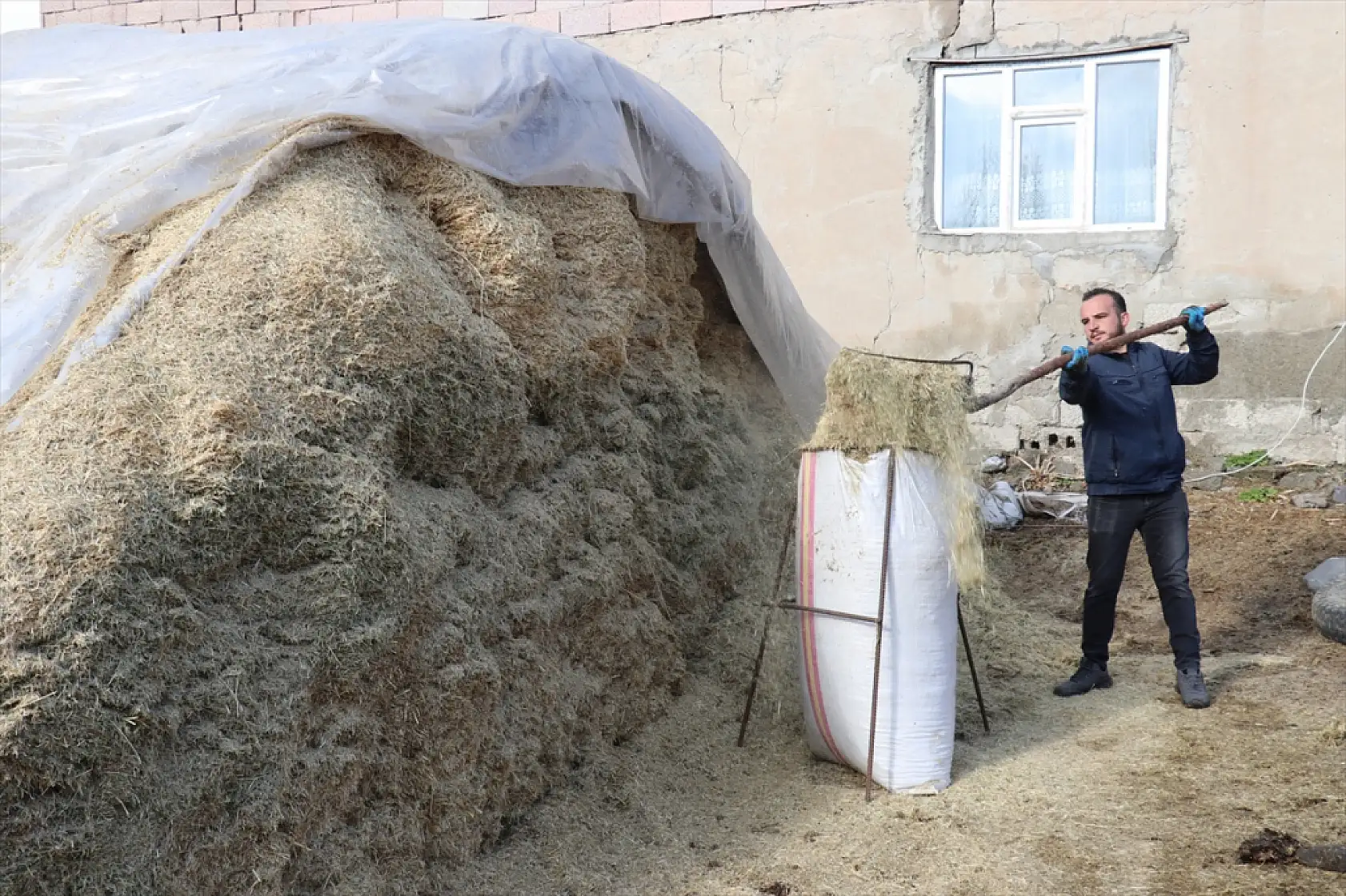 Ağrı'da Uzman Eller Projesi, Dursun'un hayvancılık hayalini gerçeğe dönüştürdü