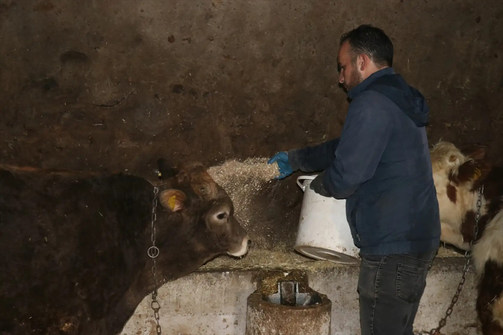Ağrı'da Uzman Eller Projesi, Dursun'un hayvancılık hayalini gerçeğe dönüştürdü