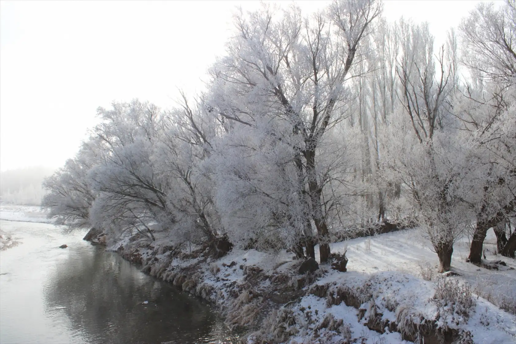 Taşlıçay beyaza büründü, kırağı tutan ağaçlar göz kamaştırdı