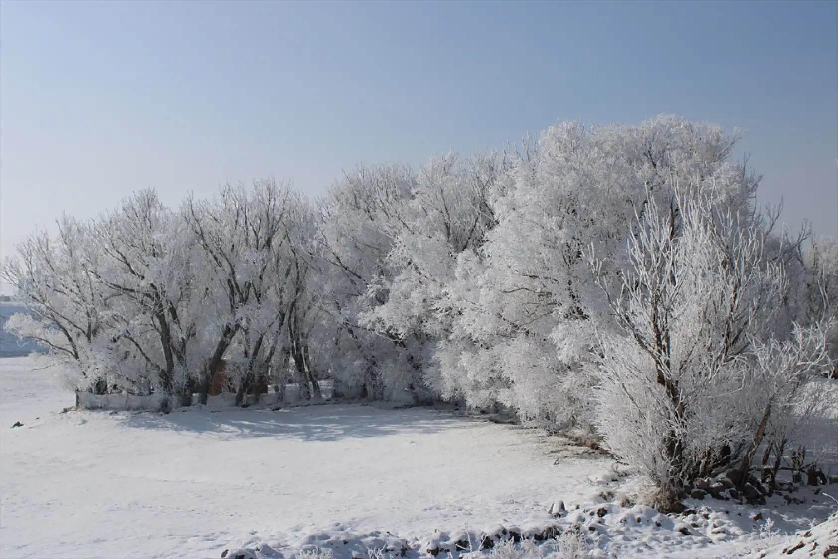 Taşlıçay beyaza büründü, kırağı tutan ağaçlar göz kamaştırdı