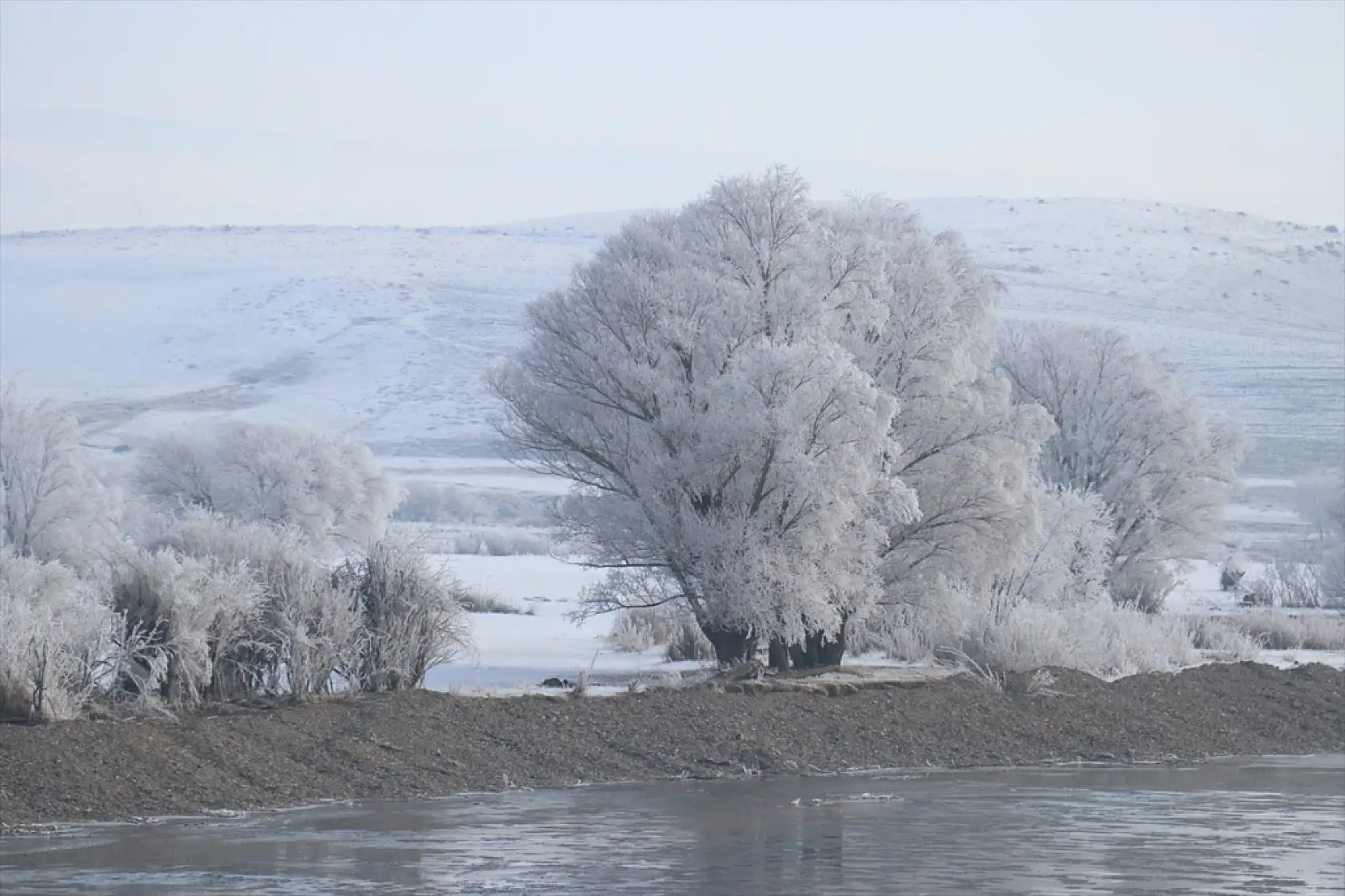 Ağrı'da soğuk hava ve sis kartpostallık görüntüler oluşturdu