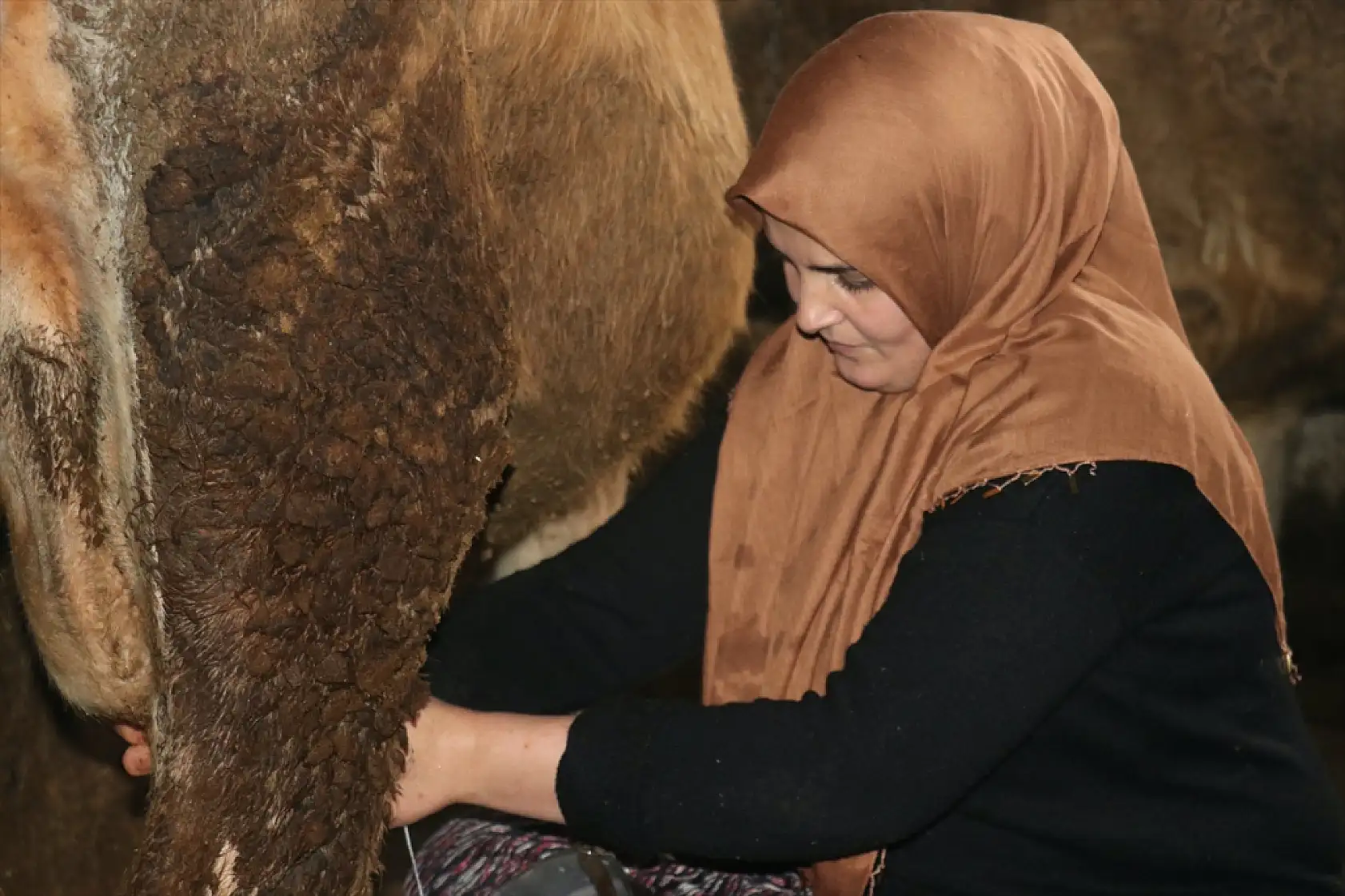 Aksaraylı gelinin azmi Ağrı'da örnek oldu