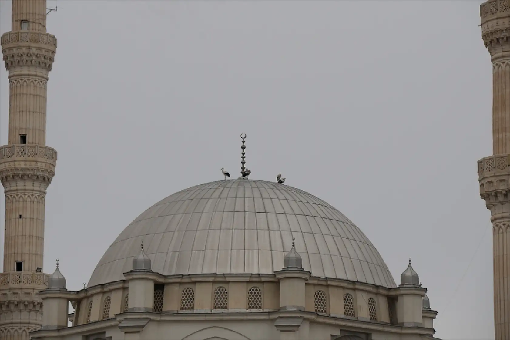 Ağrı Dağı ve çevresindeki iklim değişikliği, leyleklerin kış göçünü engelliyor
