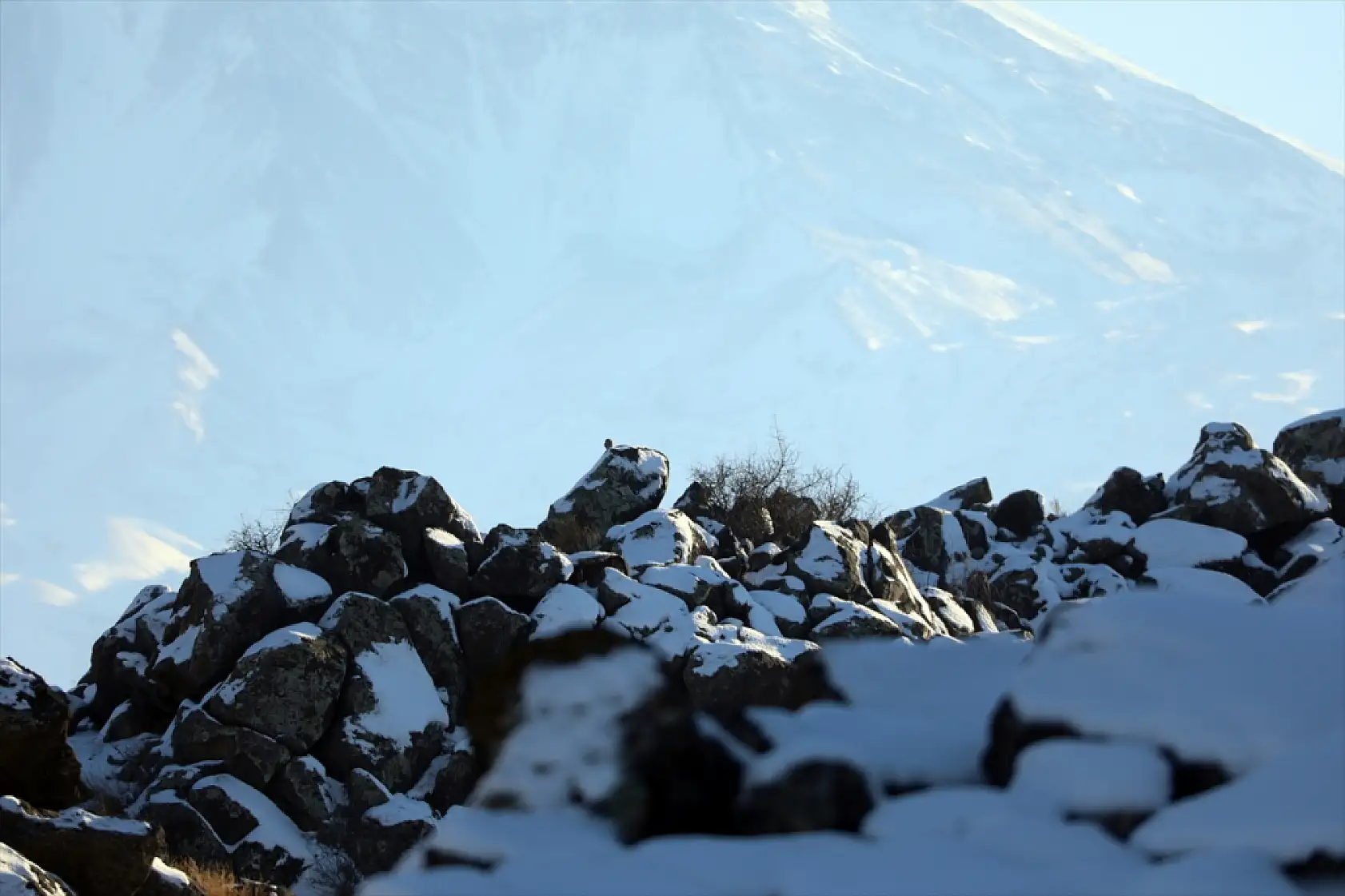 Ağrı Dağı'nın lav kayalıkları karla kaplandı!