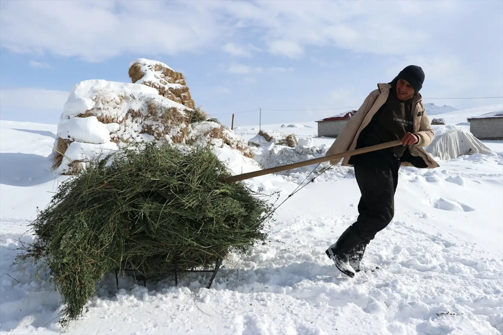 Taşlıçay'da besiciler hayvanlarını kar üstünde besliyor