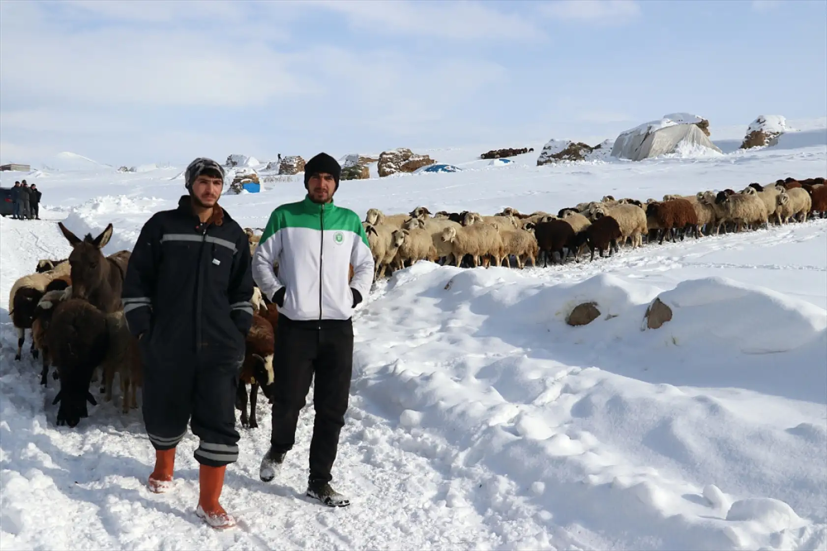 Taşlıçay'da besiciler hayvanlarını kar üstünde besliyor