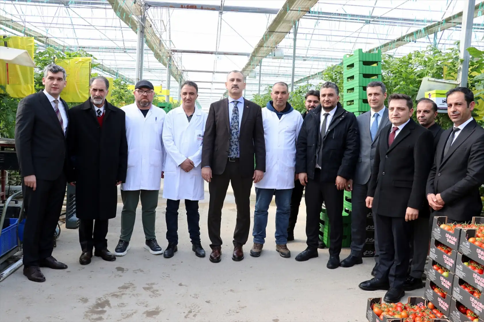 Ağrı'da jeotermal mucizesi: Domatesler Avrupa yolunda