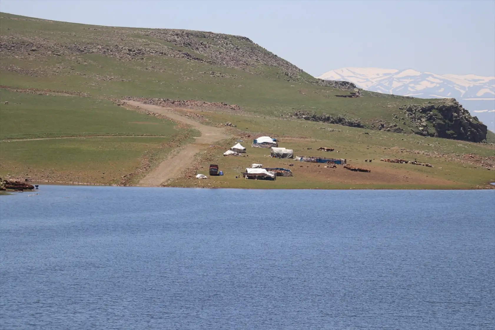 Ağrı'da kar geç eridi, göçerlerin yayla mesaisi geç başladı