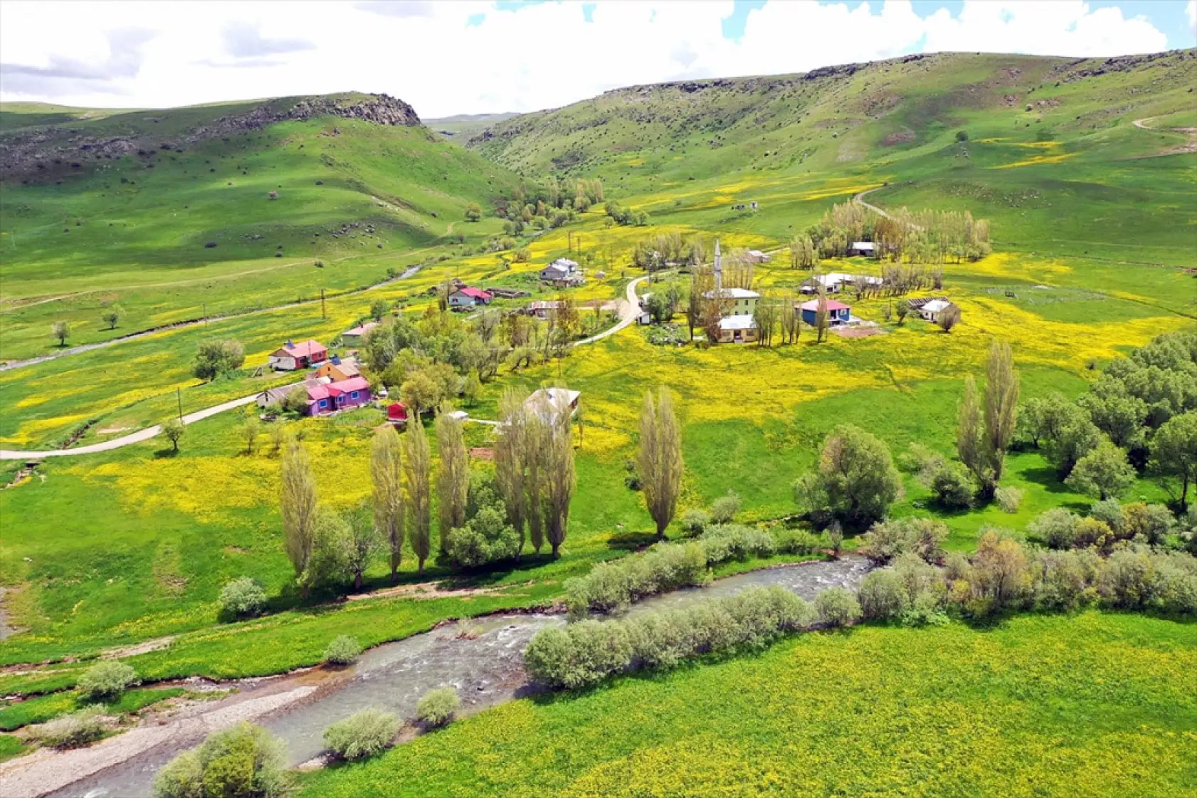 Ağrı'da sarı deniz görenleri büyülüyor