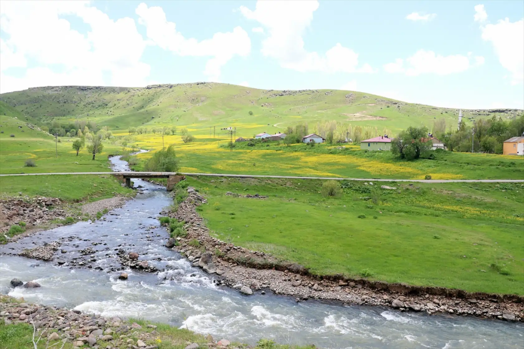 Ağrı'da sarı deniz görenleri büyülüyor