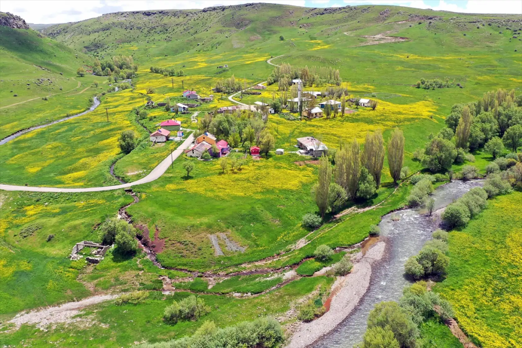 Ağrı'da sarı deniz görenleri büyülüyor